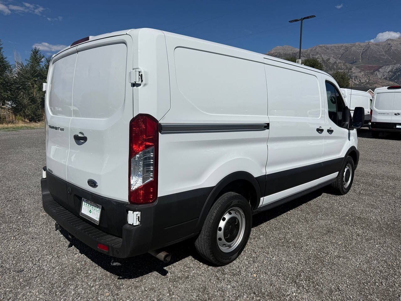 Used 2020 Ford Transit 250 Low Roof RWD image 3