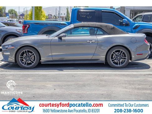 Used 2019 Ford Mustang Coupe RWD image 1