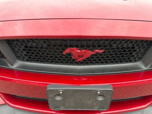 Used 2017 Ford Mustang GT Premium w/ GT Performance Package RWD image 10