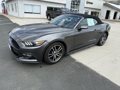 Used 2017 Ford Mustang Premium RWD image 11