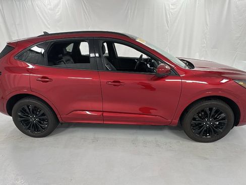 Used 2024 Ford Escape ST-Line Elite w/ Premium Technology Package image 2