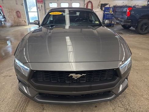 Used 2025 Ford Mustang Premium RWD image 2