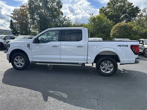 Certified 2025 Ford F150 XLT w/ Equipment Group 301A Standard image 8