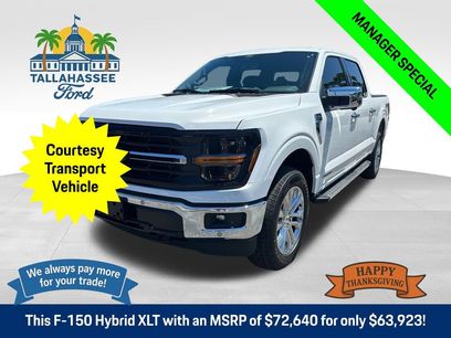 New 2025 Ford F150 XLT w/ Equipment Group 303A High