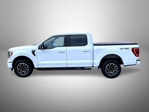 Used 2021 Ford F150 XLT w/ Equipment Group 302A High AWD/4WD image 8