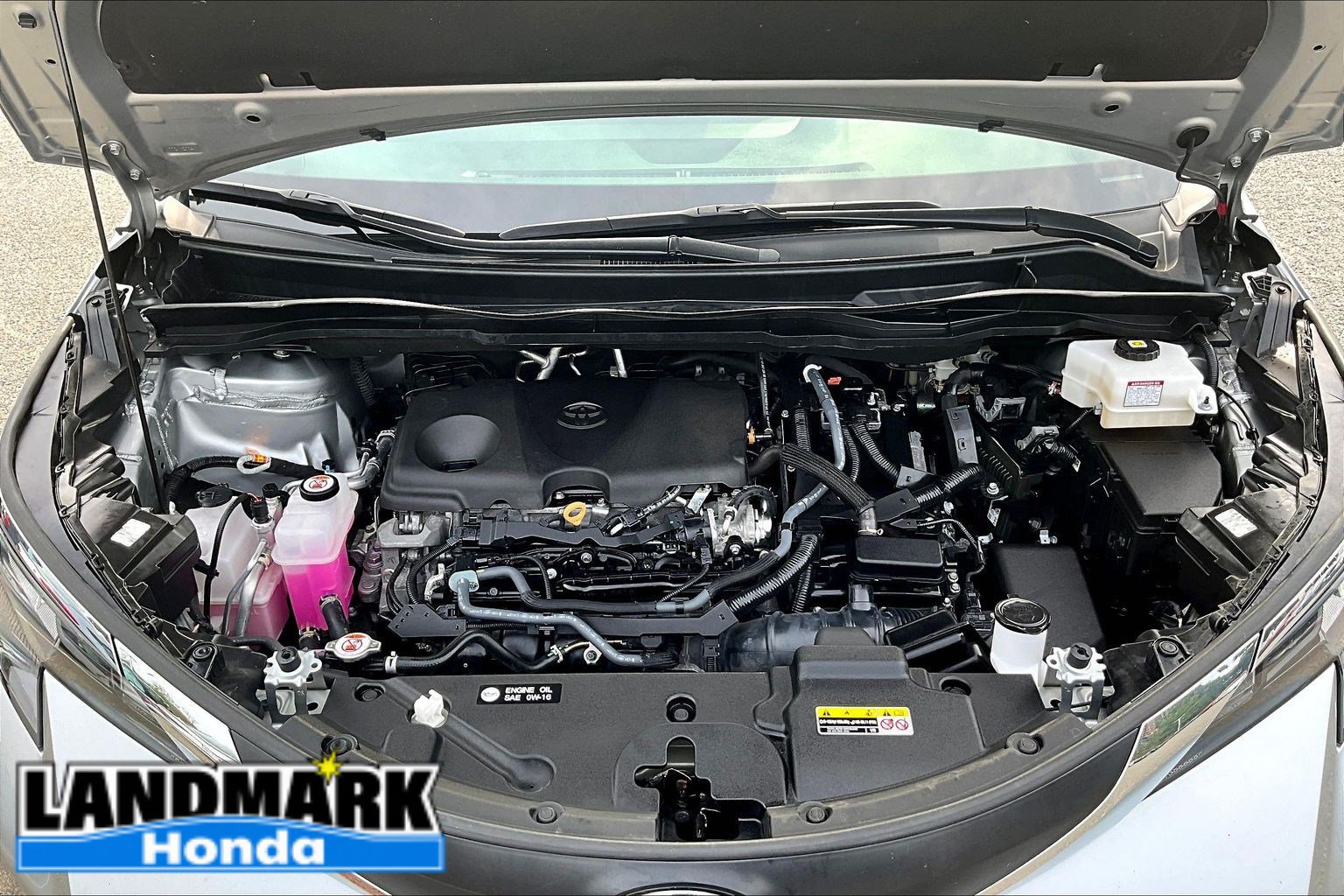 Used 2025 Toyota Sienna XLE FWD image 9