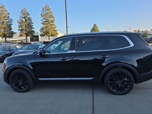 Used 2020 Kia Telluride SX w/ SX Prestige Package AWD/4WD image 6