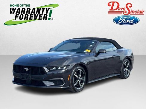 Used 2024 Ford Mustang Premium image 1