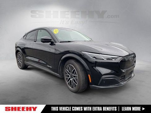 Certified 2025 Ford Mustang Mach-E Premium image 1