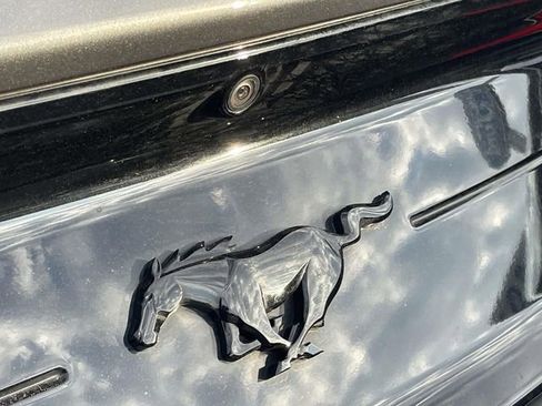 Certified 2023 Ford Mustang Coupe w/ Equipment Group 101A image 6