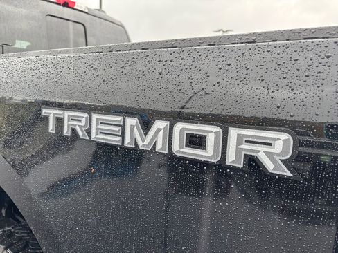 Used 2025 Ford F350 Platinum w/ Tremor Off-Road Package image 31