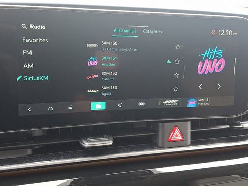 New 2026 Kia Carnival SX Prestige image 13