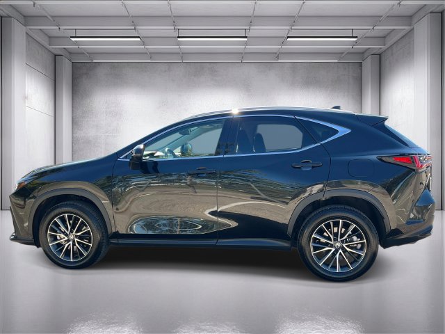 Certified 2026 Lexus NX 350 AWD w/ Premium Package image 6