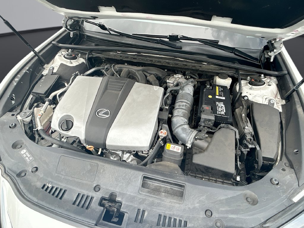 Used 2019 Lexus ES 350 Ultra Luxury FWD image 27