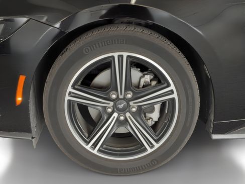 Used 2025 Ford Mustang EcoBoost image 12