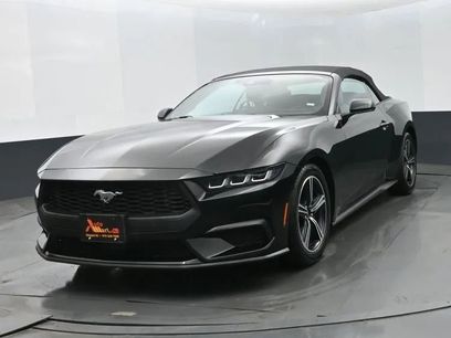 Used 2024 Ford Mustang Premium