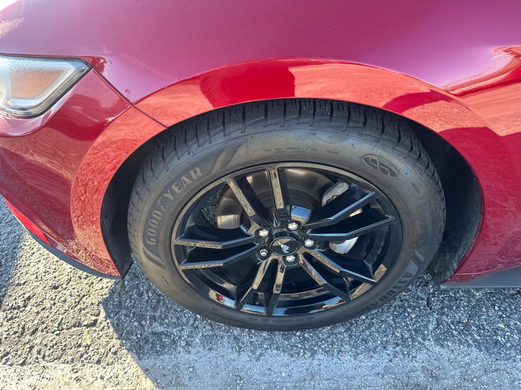 Used 2017 Ford Mustang Premium w/ Equipment Group 201A RWD image 8