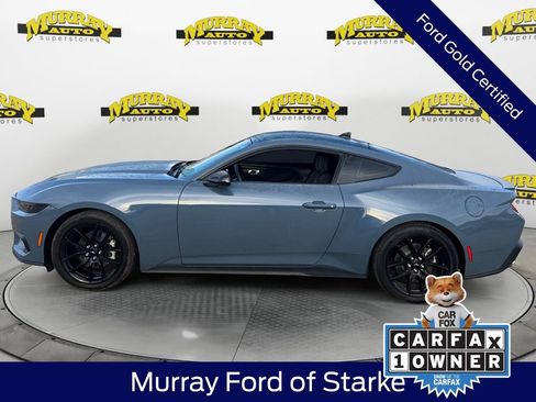Certified 2025 Ford Mustang EcoBoost w/ Mustang Nite Pony Package image 3