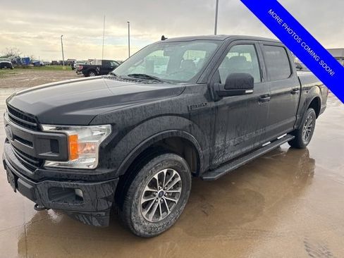 Used 2019 Ford F150 XLT w/ Equipment Group 302A Luxury image 3