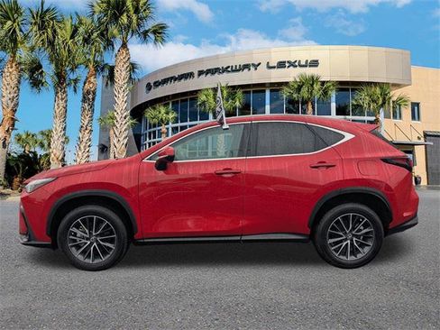 Certified 2025 Lexus NX 250 FWD w/ Cold Area Package image 7