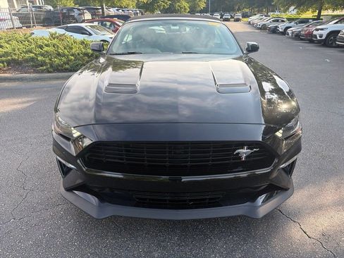 Used 2019 Ford Mustang GT Premium w/ Equipment Group 401A RWD image 3