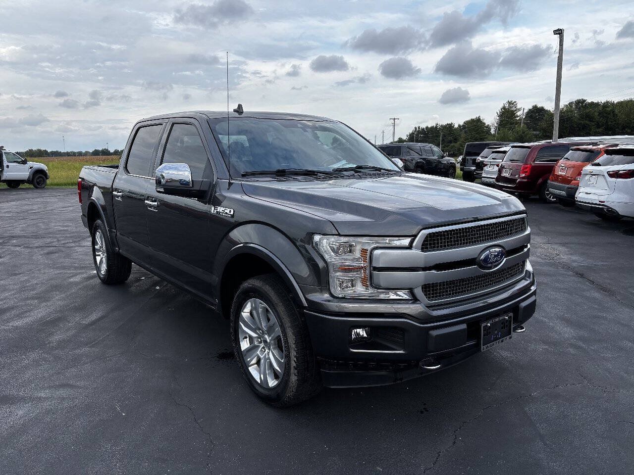 Used 2018 Ford F150 Platinum w/ Equipment Group 701A Luxury AWD/4WD image 2