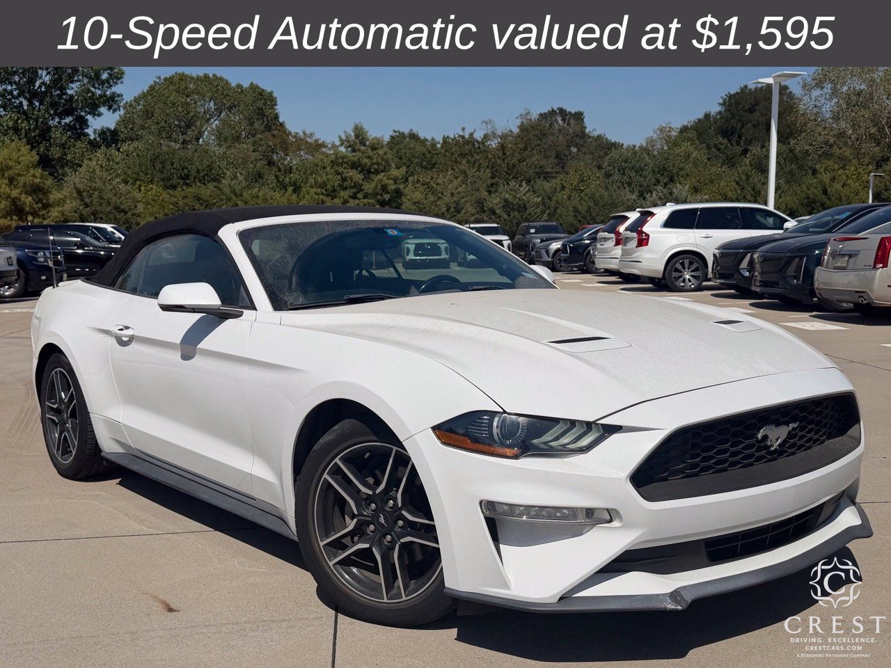 Used 2020 Ford Mustang Premium RWD image 1