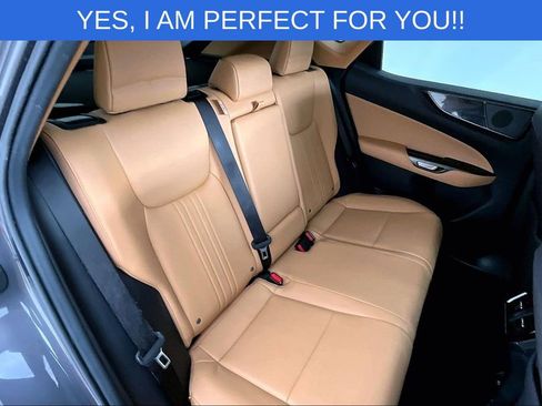 Used 2023 Lexus NX 350h AWD image 36