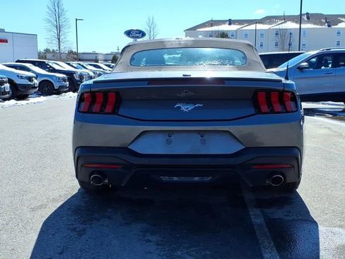 Used 2024 Ford Mustang Premium image 6