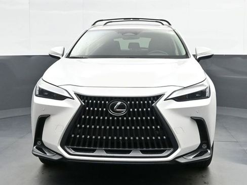 Used 2024 Lexus NX 250 FWD w/ Cold Area Package image 3