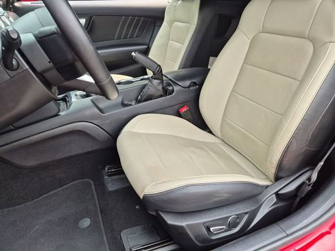 Certified 2019 Ford Mustang GT Premium w/ Ford Safe & Smart Package RWD image 23