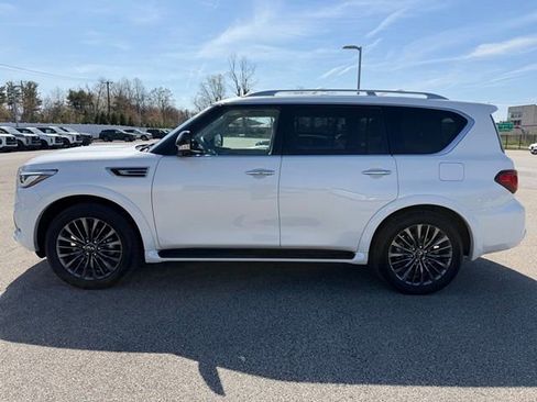 Certified 2024 INFINITI QX80 Premium Select w/ Cargo Package image 4