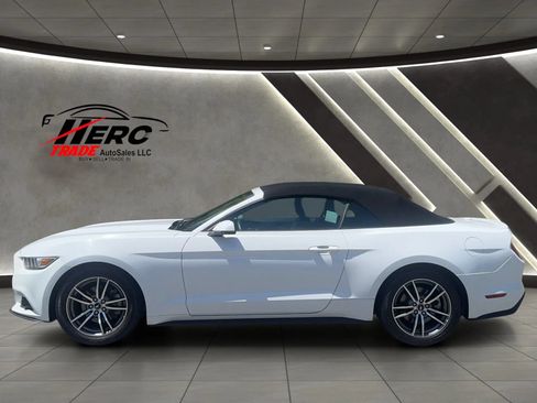Used 2017 Ford Mustang Premium RWD image 12