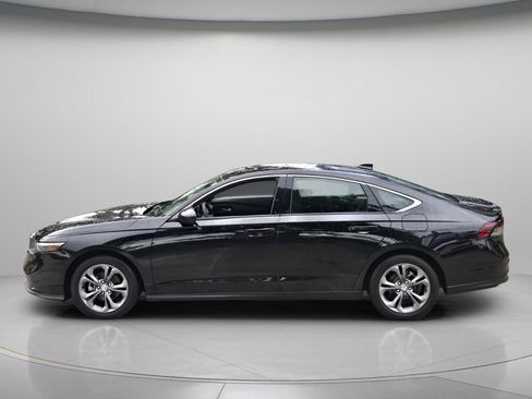 Certified 2024 Honda Accord EX image 3