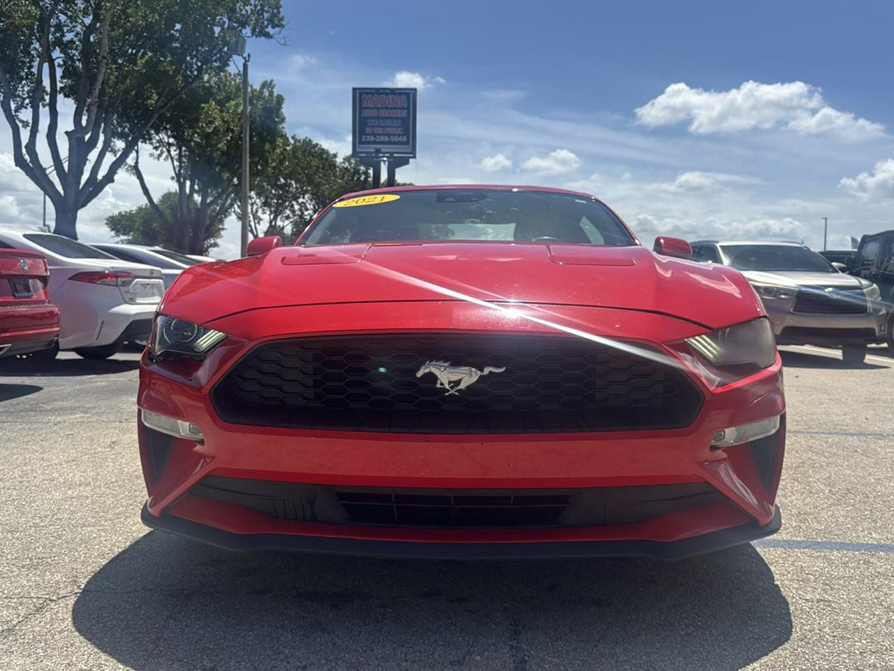 Used 2021 Ford Mustang Premium RWD image 4