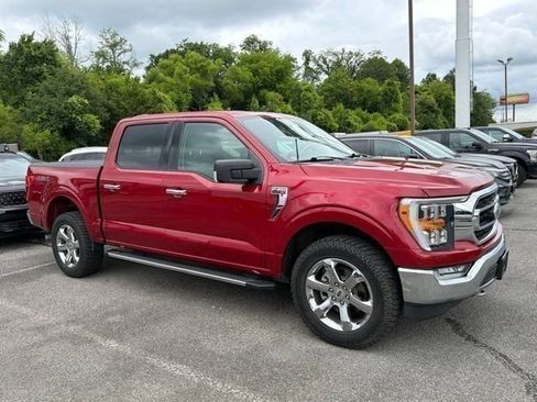 Certified 2021 Ford F150 XLT w/ Equipment Group 302A High AWD/4WD image 3