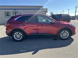 Certified 2020 Ford Escape SE image 4