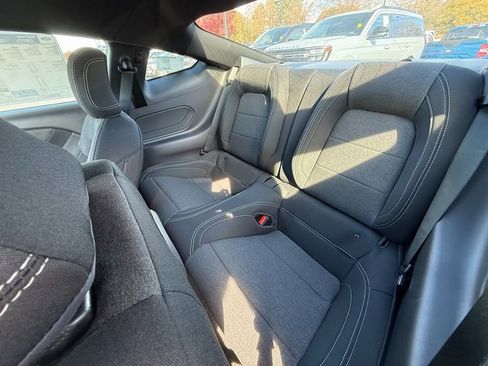 New 2026 Ford Mustang Coupe w/ Mustang Nite Pony Package image 18