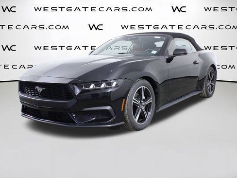 Used 2024 Ford Mustang Premium image 1