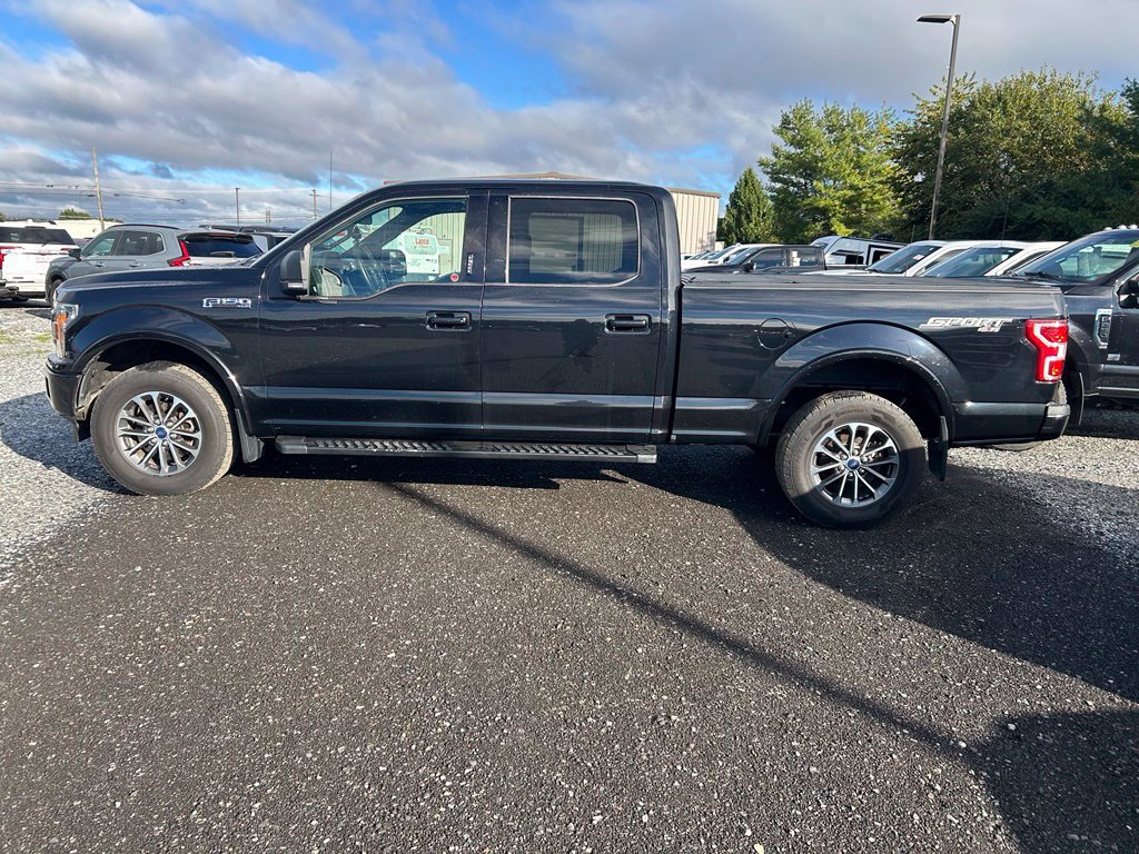 Used 2019 Ford F150 XLT w/ Equipment Group 302A Luxury AWD/4WD image 7