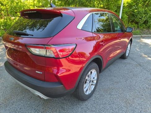 Used 2025 Ford Escape ST-Line Select AWD/4WD image 8