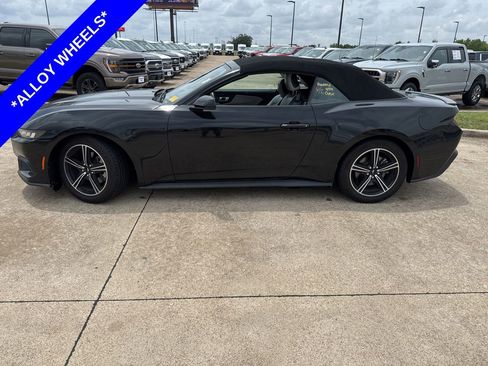 Used 2024 Ford Mustang Premium RWD image 3