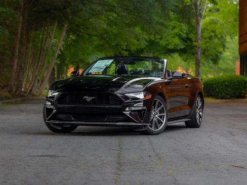 Used 2019 Ford Mustang Premium w/ Equipment Group 201A RWD image 4