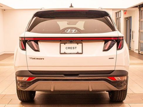 Used 2023 Hyundai Tucson Limited image 7