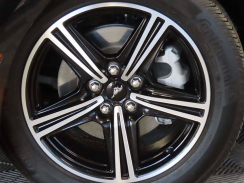 Used 2025 Ford Mustang Premium RWD image 5