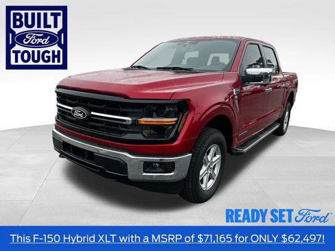 New 2025 Ford F150 XLT w/ Equipment Group 302A MID image 1