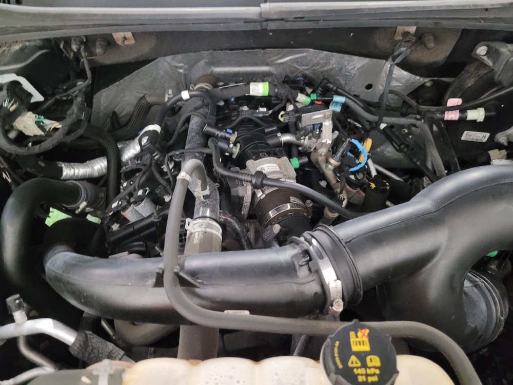 Used 2019 Ford F150 XLT w/ Equipment Group 302A Luxury AWD/4WD image 30