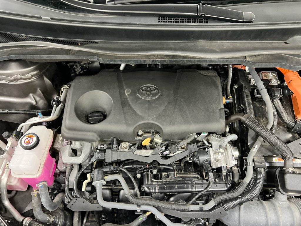 Used 2024 Toyota Sienna XLE w/ XLE Plus Package AWD/4WD image 27