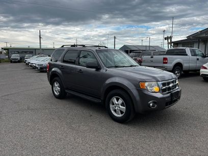 Used 2010 Ford Escape XLT