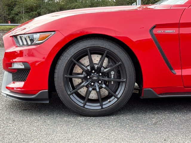 Used 2018 Ford Mustang Shelby GT350 w/ Convenience Package RWD image 7